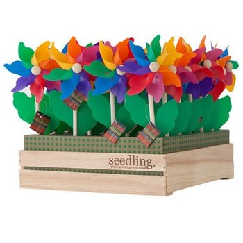 SEEDLING - WINDMÜHLEN IM DISPLAY (20 Stk.)