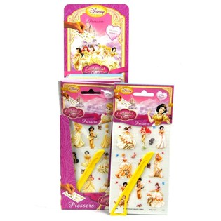 Disney-Prinzessinnen AFWRIJFPLAATJES IM DISPLAY (48st.)