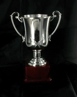 Silberner Pokal - Groß (23 cm)