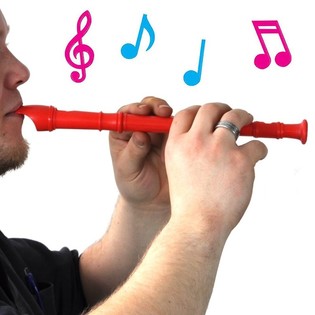 BUNTE RECORDER (20st).