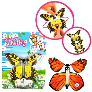 Flatternder Schmetterling auf Karte (24 Stk.)