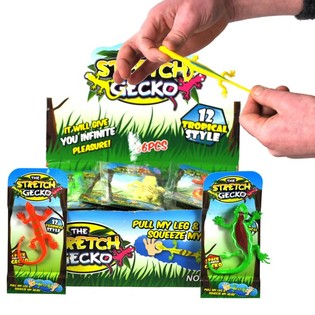 STRETCHY EIDECHSE IN DISPLAY (36st).