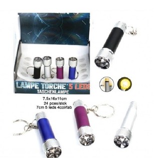 5 LEDs TASCHENLAMPE AN SCHL&Uuml;SSELANZEIGE (24 St&uuml;ck)