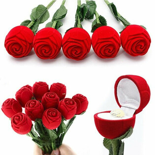 ROSE MIT RING IM DISPLAY (48 Stk.)