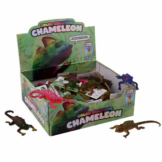 Farbwechsel Chamäleons im Display (48 Stk.)