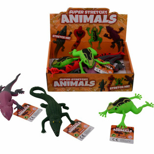 XL Stretch Reptilien Display (12 Stk.)